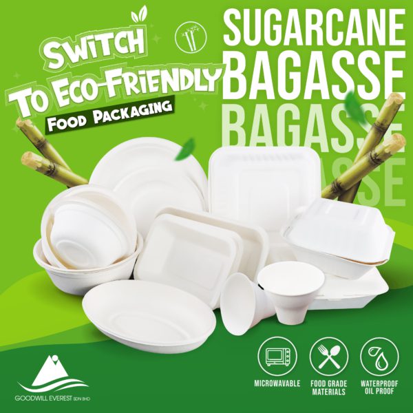 Bagasse container close-up